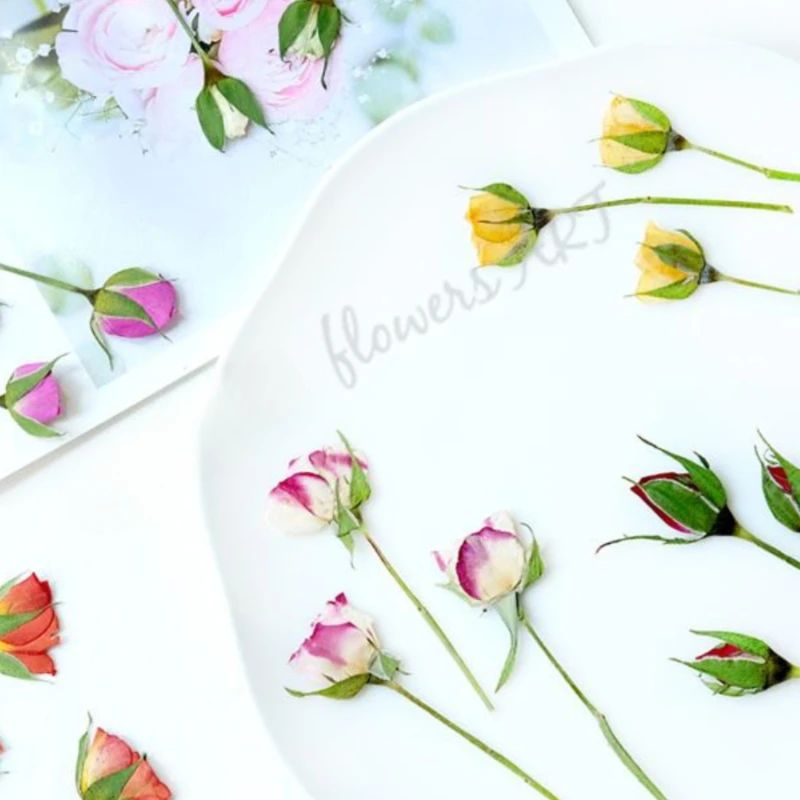 Сушеные прессованные лепестки  – обзор и цена Photo Frame Baby